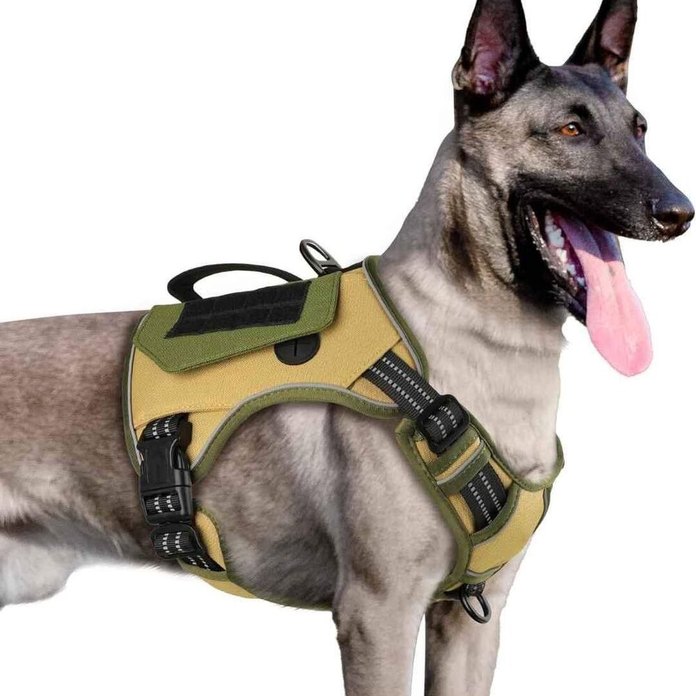 Dog Small tactical harness